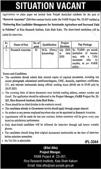 Jobs in Rice Research Institute Kala Shah Kakum